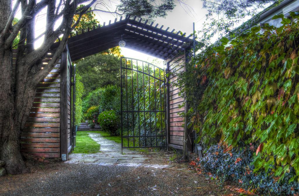 Crimson Villa Katoomba Rum bild